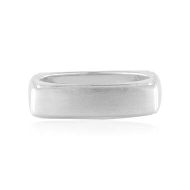 Silberring (de Melo Essence)