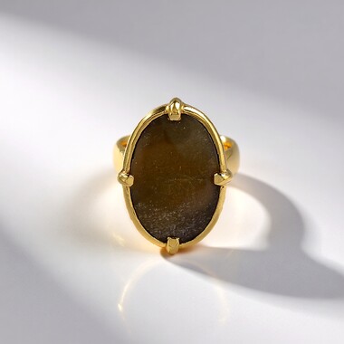 Zilveren ring met een Versteend hout