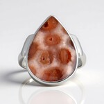 Anello in argento con Corallo Pietrificato