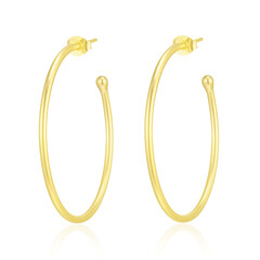 Boucles d'oreilles en argent (Maigold Kreativ)