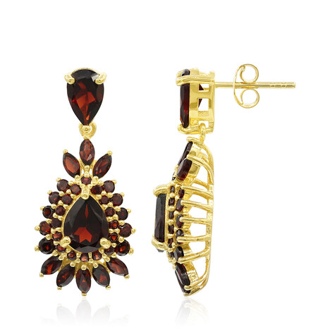 Orecchini in argento con Granato