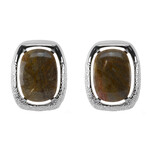 Orecchini in argento con Legno Fossile (dagen)