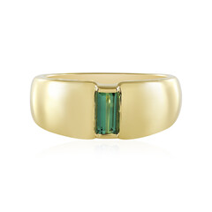 Anillo en plata con Turmalina verde Benedito (Adela Silber)
