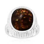 Zilveren ring met een vuur agaat