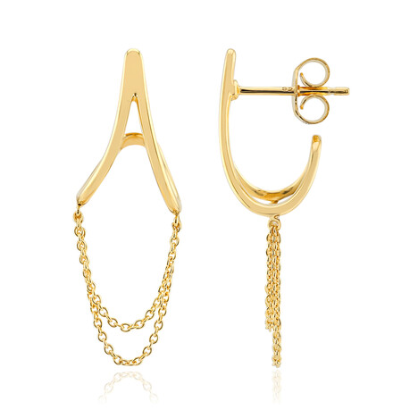 Orecchini in argento