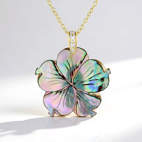 Collana in argento con Conchiglia Abalone (Gems en Vogue)