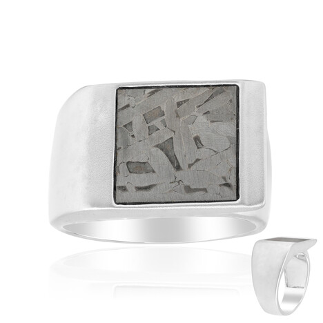 Aletai-Meteorit-Silberring