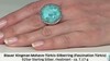 Zilveren ring met een Blauwe Kingman Mohave Turkoois (Faszination Türkis)