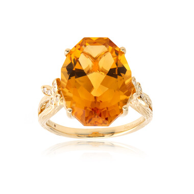 Citrin-Goldring (Smithsonian)