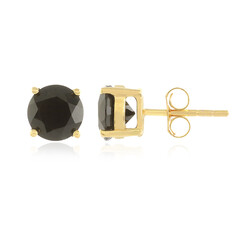 Black Spinel Silver Earrings