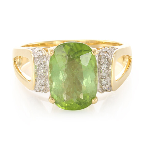 18K Paraiba Tourmaline Gold Ring (AMAYANI)