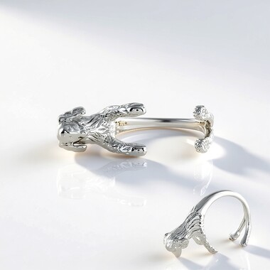 Anello in argento