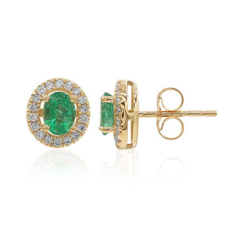 AAA-Sambia-Smaragd-Goldohrringe