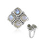 Anello in argento con Labradorite Blu Maniry (KM by Juwelo)