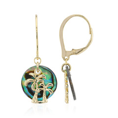 Abalone Shell Silver Earrings