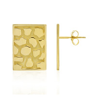 Pendientes en plata