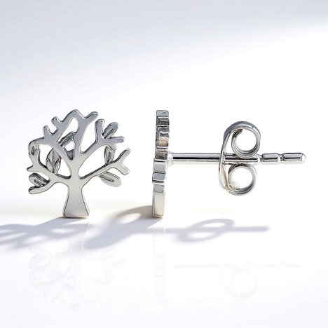 Orecchini in argento