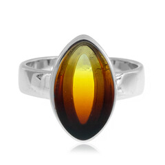 Baltic Amber Silver Ring