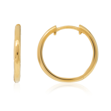 Orecchini in argento