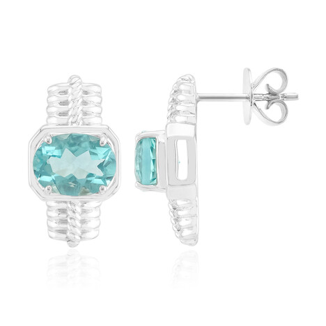 Zilveren oorbellen met Braldu Fluorieten (Pallanova)