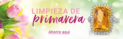 202603_Fruehjahrsputz