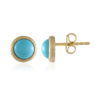 Sleeping Beauty Turquoise Silver Earrings (Faszination Türkis)