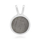 Colgante en plata con Meteorito Aletai