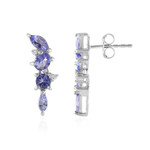 Zilveren oorbellen met tanzanieten