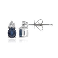 Blauer Ceylon-Saphir-Goldohrringe