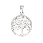 Pendentif en argent