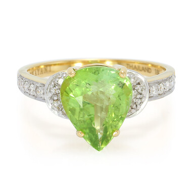 Paraiba-Turmalin-Goldring (AMAYANI)