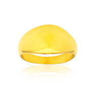 Silberring