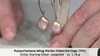 Pendientes en plata con Perla Ming púrpura (TPC)