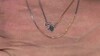 Collar en plata