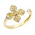 I1 Fancy-Brillant-Goldring (CIRARI)