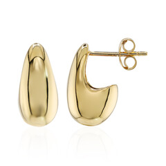 Orecchini in argento