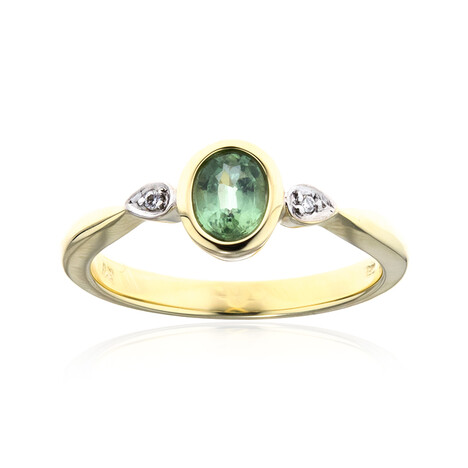 Gouden ring met een Munt Kyaniet (CUSTODANA)