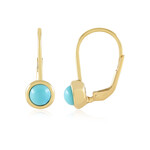 Zilveren oorbellen met Sleeping Beauty Turkooisen