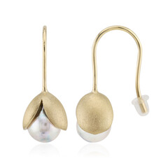 Pendientes en plata con Perla Akoya azul platino