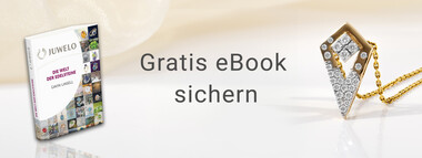Anmelden und kostenloses E-Book downloaden
