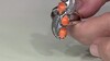 Anillo en plata con Ostra espinosa naranja (Desert Chic)