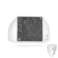 Anillo en plata con Meteorito Aletai