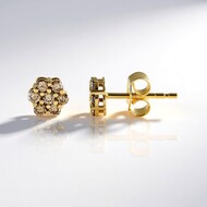 Pendientes en plata con Diamante champán I2 (de Melo Essence)