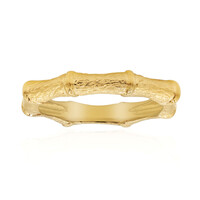 Anello in argento (TPC)
