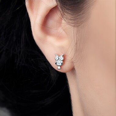 Orecchini in argento con Zircone