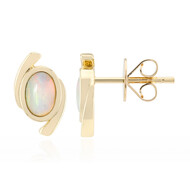 Coober Pedy-Opal-Goldohrringe