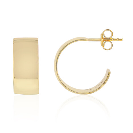 Orecchini in argento