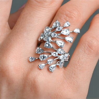 (H) Brillant-Goldring (CIRARI)