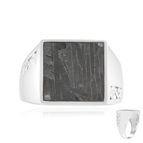 Zilveren ring met een Aletai meteoriet