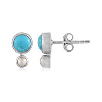 Orecchini in argento con Turchese